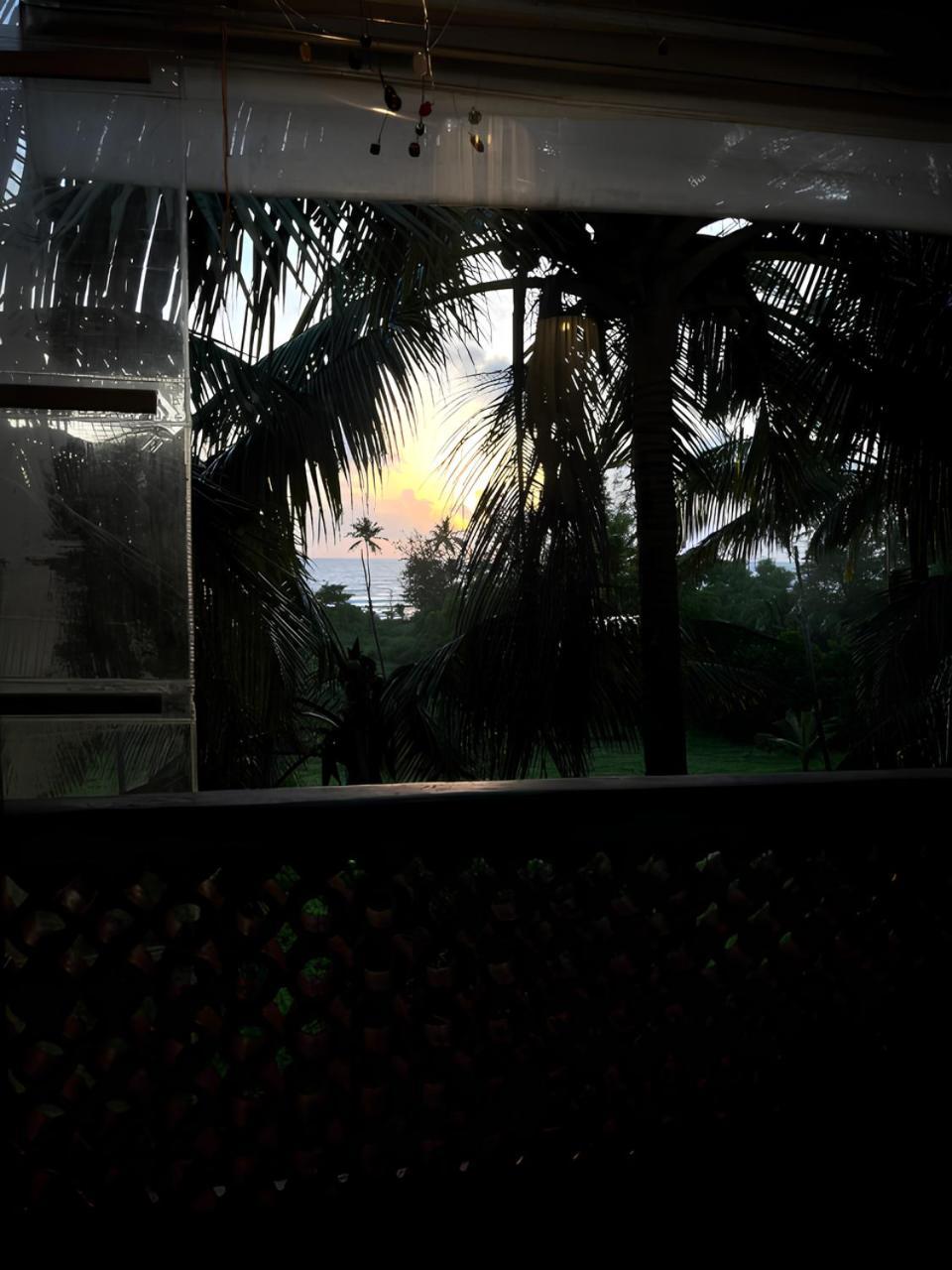 Tattvam On The Beach - Retreat And Spa Arambol Exterior foto
